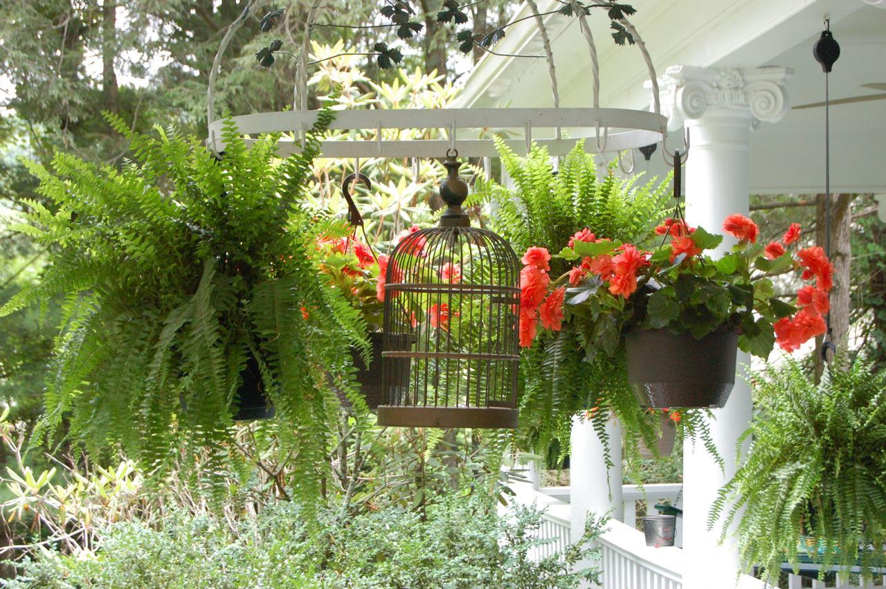Mountain Laurel Inn Damascus Exteriör bild